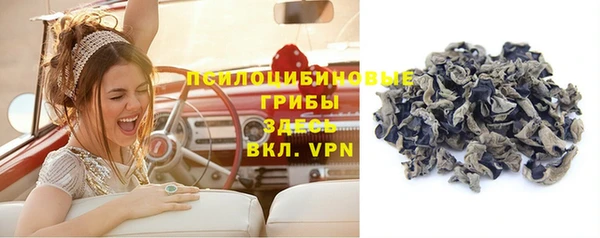амф Зеленодольск