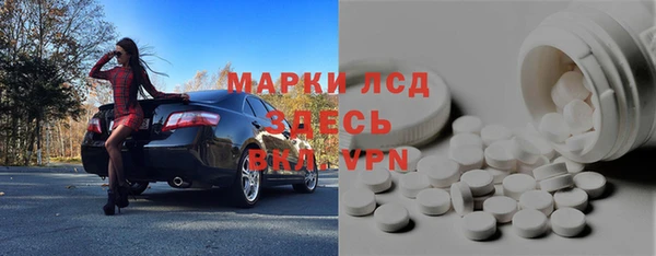 стафф Инта