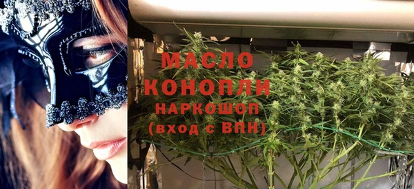 соль ск Инсар