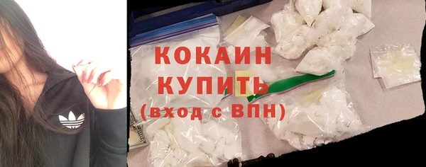 прущий лед Каменка