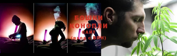 соль ск Инсар