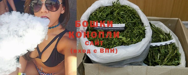 стафф Инта