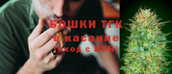 соль ск Инсар