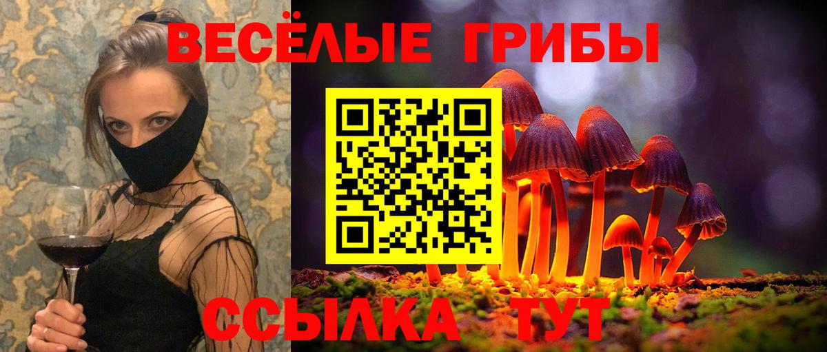 Ульяновск  Галлюциногенные грибы ЛСД  Вход с VPN 